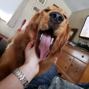 Meet your Posher, Josh